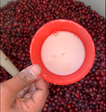 St. Margaret Estate Robusta yeast ferment coffee