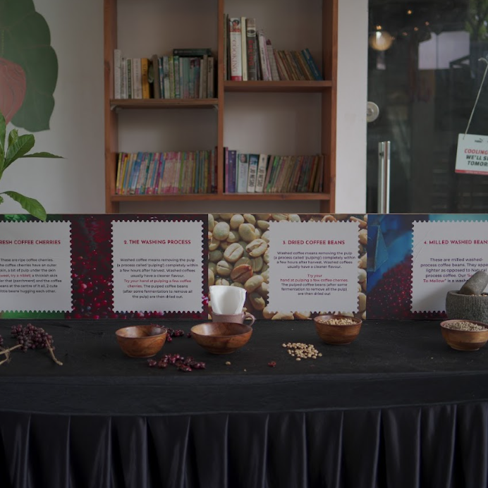 Green Bean Showcase directly from the farmers hosted by - SCAI - Speciality Coffee Association