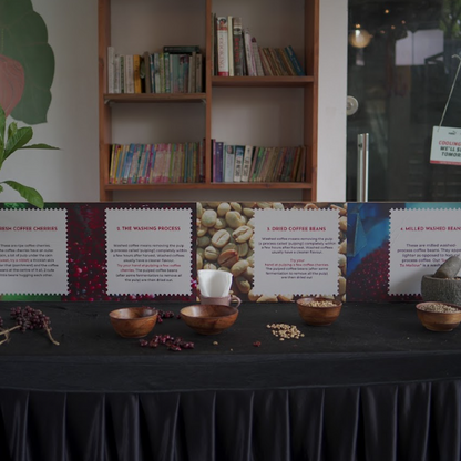 Green Bean Showcase directly from the farmers hosted by - SCAI - Speciality Coffee Association