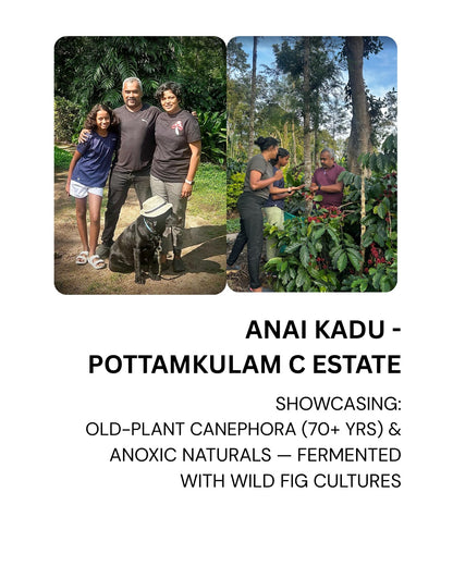 Friends of the Farmer - 2 Farmers, 1 Estate!