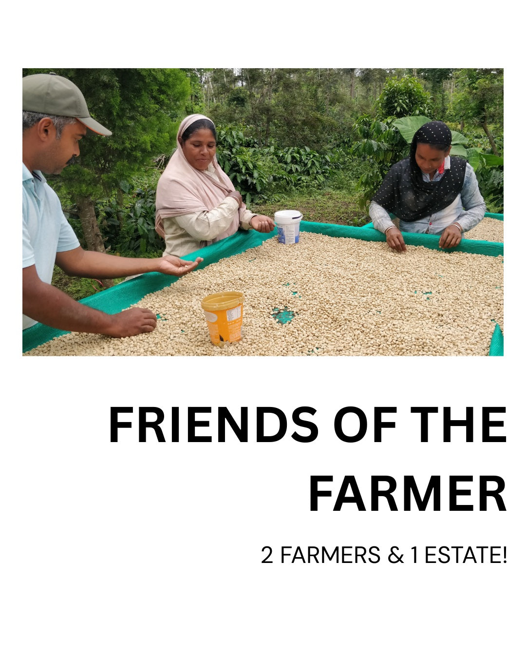 Friends of the Farmer - 2 Farmers, 1 Estate!