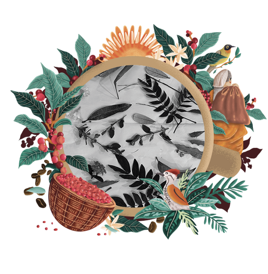 Cyanotype Workshop by Kapila Nahender