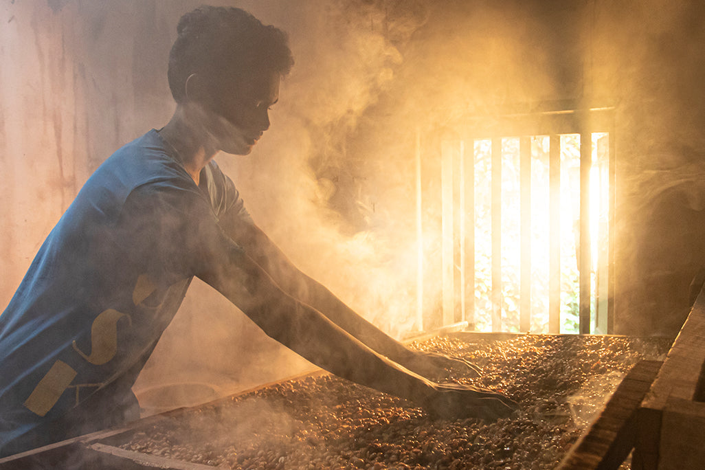 A person looking at beans which have been smoke dried for days to prepare the ol smoky cold brew coffee.